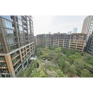 Garden courtyard view