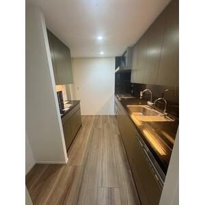 Dark-tone kitchen