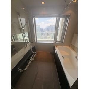 Window bathroom with view