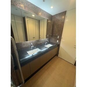 Double-bowl powder room