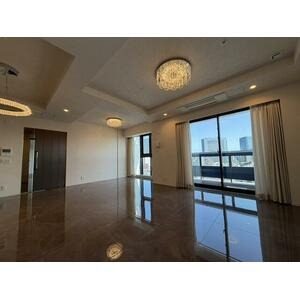 The Park House Takanawa Tower 1704 photo