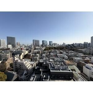 The Park House Takanawa Tower 1704 - City view