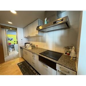 THE TOKYO TOWERS MID TOWER - Kitchen with 3-burner IH cooktop