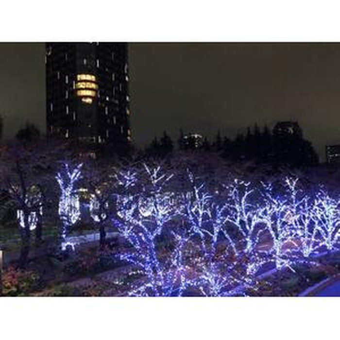 Park Court Akasaka Hinokicho The Tower 606 - Night garden