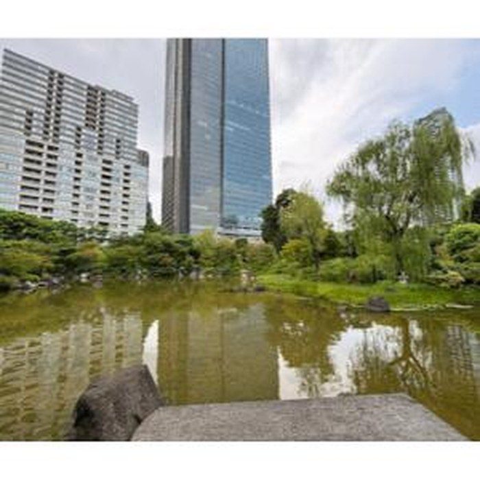 Park Court Akasaka Hinokicho The Tower 606 - Hinokicho Park