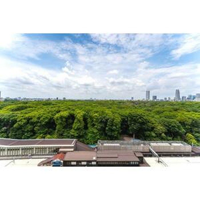 With Harajuku Residence 1004 - Green outlook