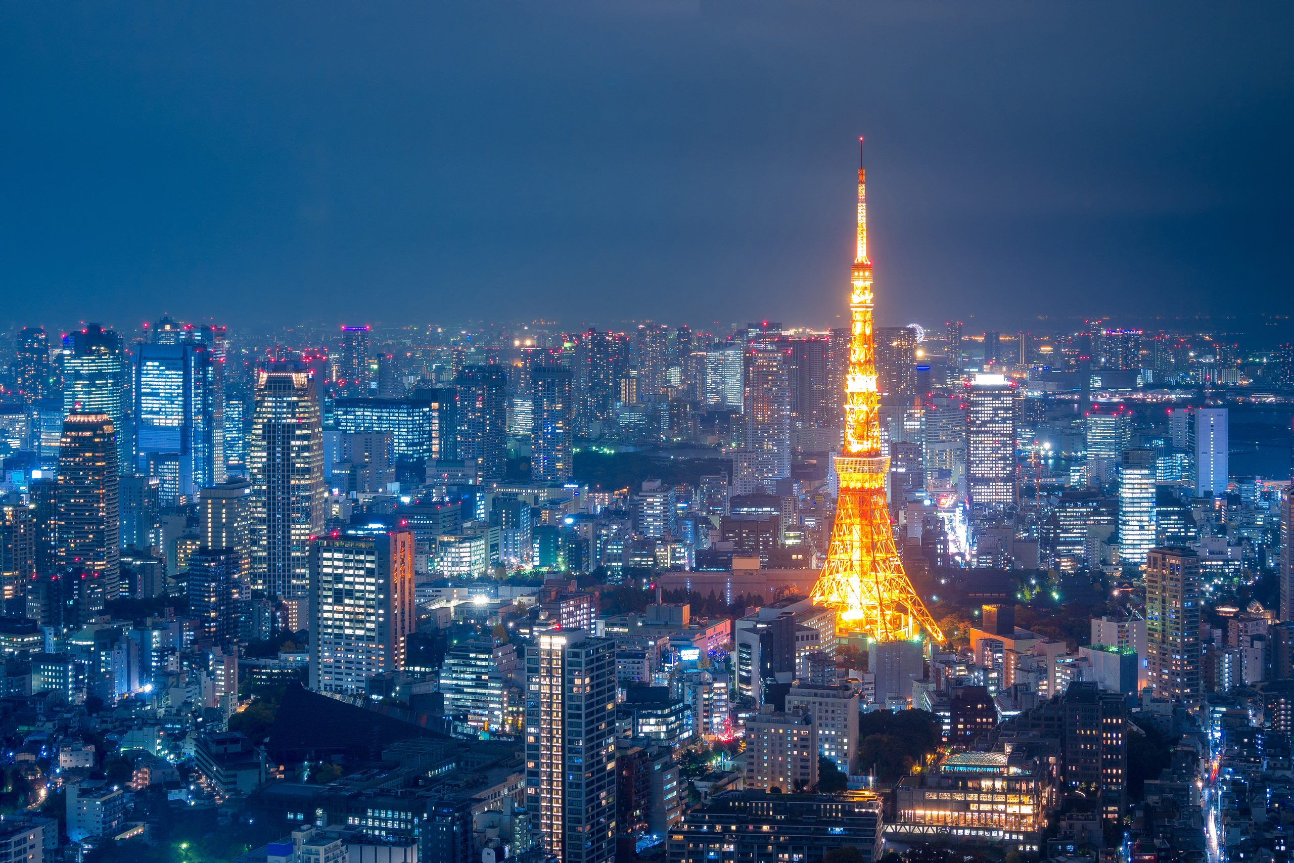 Shibuya-ku luxury opportunity
