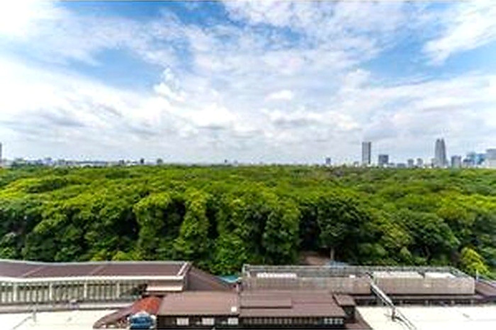 With Harajuku Residence 1004 photo